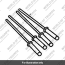 Rivet (A9910004)