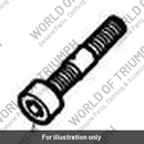 Screw, Cap Hd, M10 X 40 X 1.25 (A9910008)