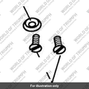 Screw (A9910046)
