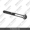 Screw, SKT BTN HD, M6 x 50, S/S (A9910090)