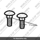 Bolt, Carriage, M6 x 16 (A9910173)