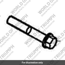 Bolt, Domed, RHHF, M6 x 35 (A9910186)