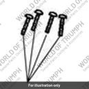 Screw, Torx, M6x30, Black (A9910191)