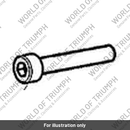 Screw, M5 x 30, Slv (A9910289)