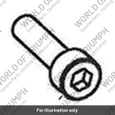 Screw, Cap/Hd, M5 x 0.8 x 20 (A9910348)