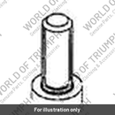 Screw, Cap/Hd. M6 x 1.0 x 16 (A9910350)