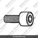 Screw, But/HD, M5 X 10, Enc (A9910853)