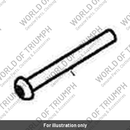 Screw, But/Hd, M5 x 0.8 x 45, Slv (A9910871)
