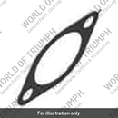 Gasket (CS101128)