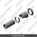 Oil Seal (DG171019)