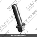 Hex Bolt, Flgd (DH101386)