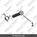 Torsion Spring (JP113035)