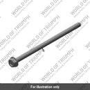 Bolt, Flanged, M6 x 1 (KADD06B5)
