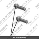 Bolt, Flanged, M6 x 1 (KAEW0620)
