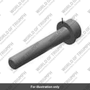 Bolt, Socket, M10 x 1.25 (LAC00168)