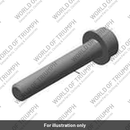 Bolt, Socket, M10 x 1.25 (LAC00200)