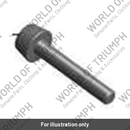 Bolt, Socket, M8 x 1 (LAC00211)