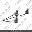 Bolt, Flange, M6 x 1 x 12.8, Brt x Step (LAD00154)