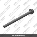 Bolt (LAD00295)