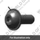 Screw (LBU00239)