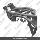 Nut, Hex Flange (LCL00001)