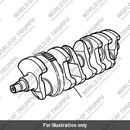 Crankshaft assembly (T1100006)
