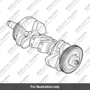 Crankshaft Assembly (T1100075)