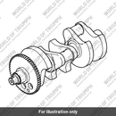 Crankshaft assembly (T1100120)