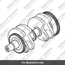 Crankshaft Assy (T1100908)