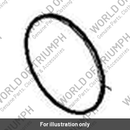 Spacer, Crankshaft (T1100913)