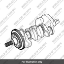 Crankshaft assembly (T1101000)