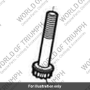 Con Rod Bolt (T1110232)