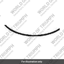 Conrod Assy (T1110470)