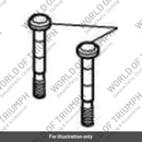 Bolt conn rod (T1110807)