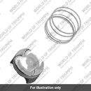Piston & Circlip Assembly (T1126050)