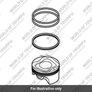 Piston Assy, 97.6 (T1126250)