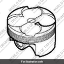 Piston & Circlip Assembly (T1128006)