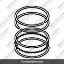 Piston Ring Set (T1128013)