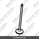 Valve exhaust (T1130025)