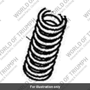 Spring valve (T1130086)