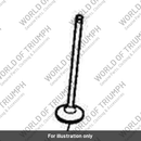 Valve, Exhaust (T1130122)