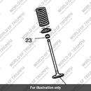 Platform, Spring Valve (T1130404)