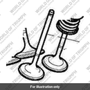 Valve, Exhaust, 32.3 (T1130465)