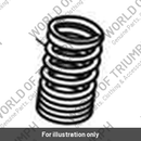 Valve Spring (T1130758)
