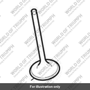 Exhaust Valve, Dia 32.3 (T1130760)
