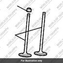 Valve, Inlet, Nitrided (T1130774)