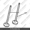 Valve, Exhaust, Nitrided (T1130781)