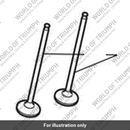 Valve, Exhaust (T1131212)