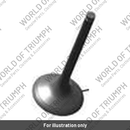 Exhaust Valve (T1132132)