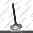 Intake Valve (T1132133)